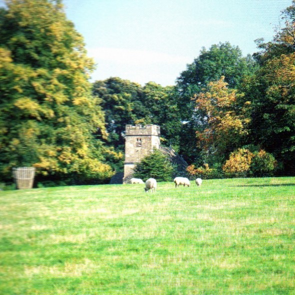 Salperton Park - beautiful parkland