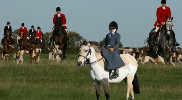 Side Saddle Side Saddle