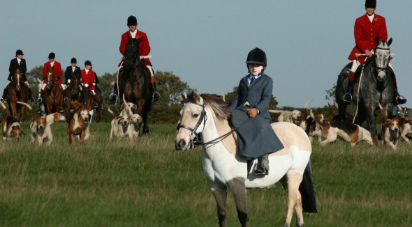 Side Saddle