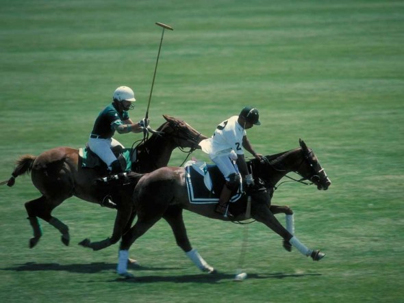 A friendly game of polo
