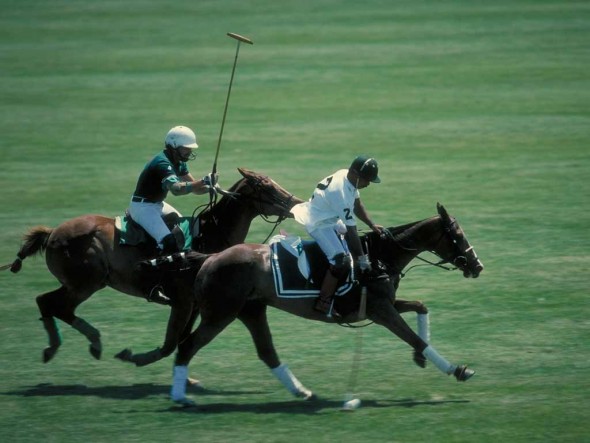 A friendly game of polo A friendly game of polo